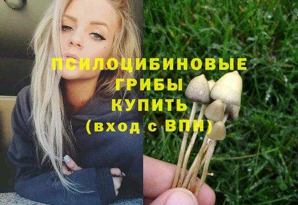 гашик Аркадак