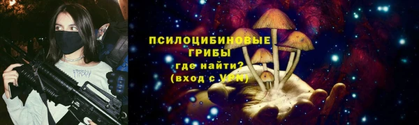 Альфа ПВП Армянск