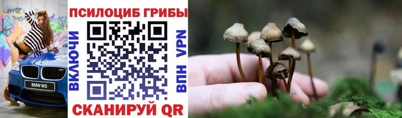Псилоцибиновые грибы прущие грибы  Тюкалинск 